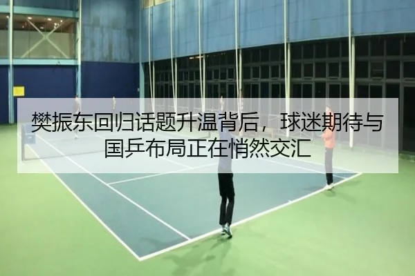 樊振东回归话题升温背后，球迷期待与国乒布局正在悄然交汇